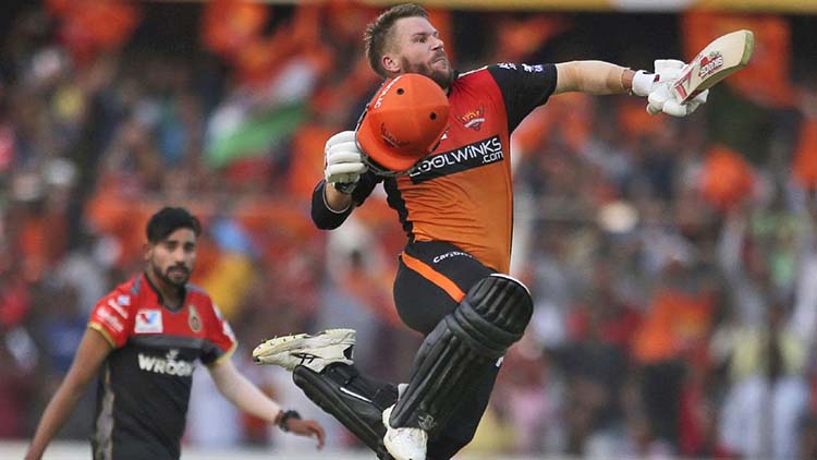 David Warner IPL Career