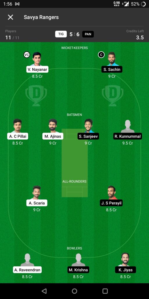 Grand League Team For Tigers vs Panthers